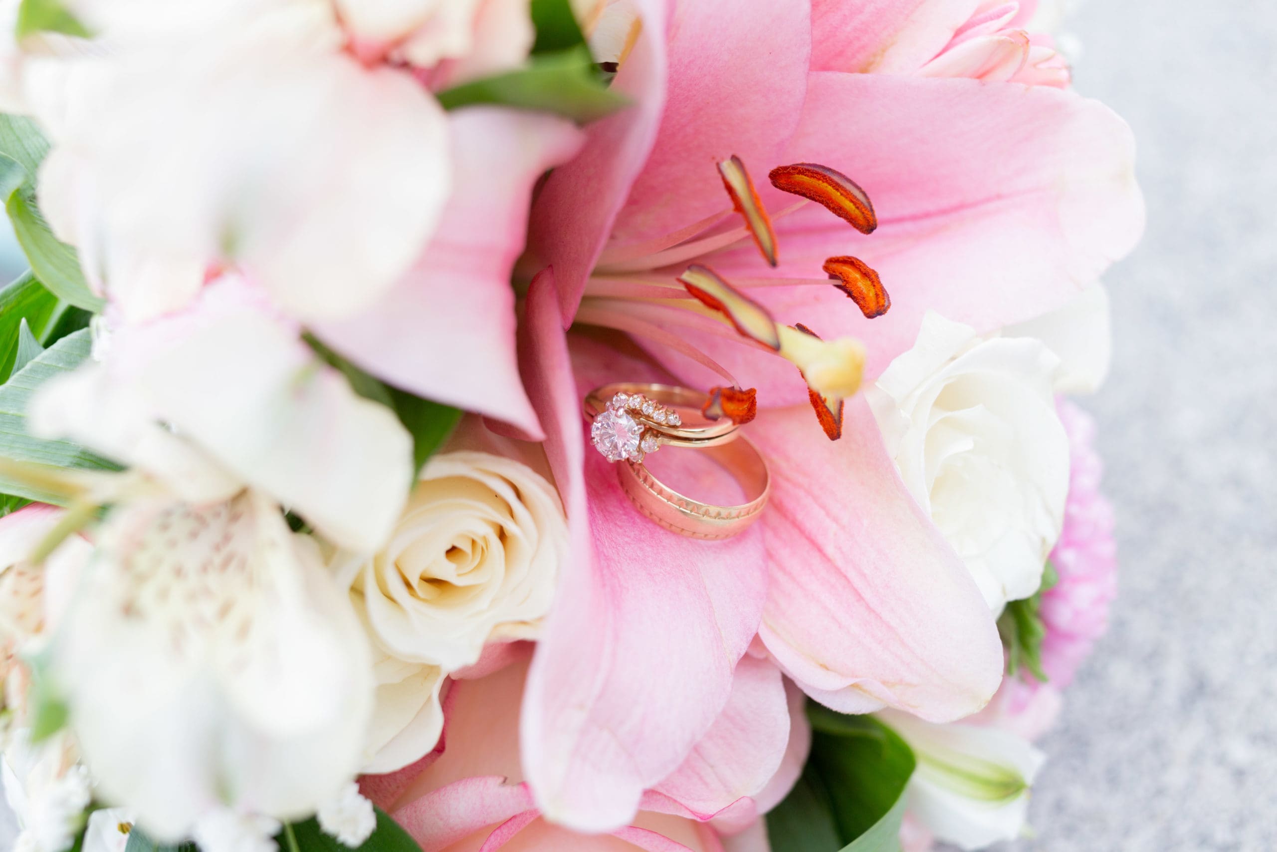 Idaho Falls Wedding