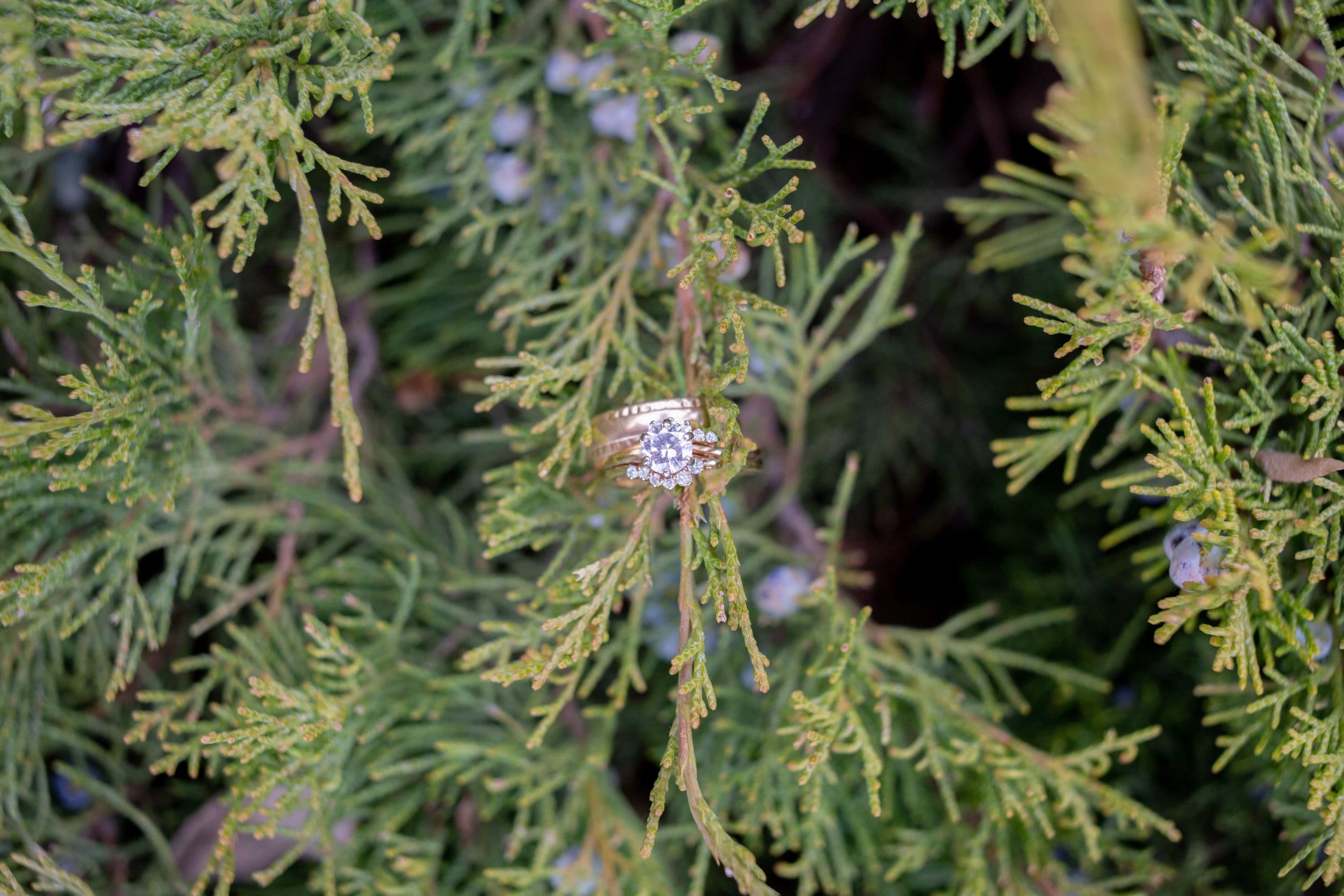Idaho Falls Wedding