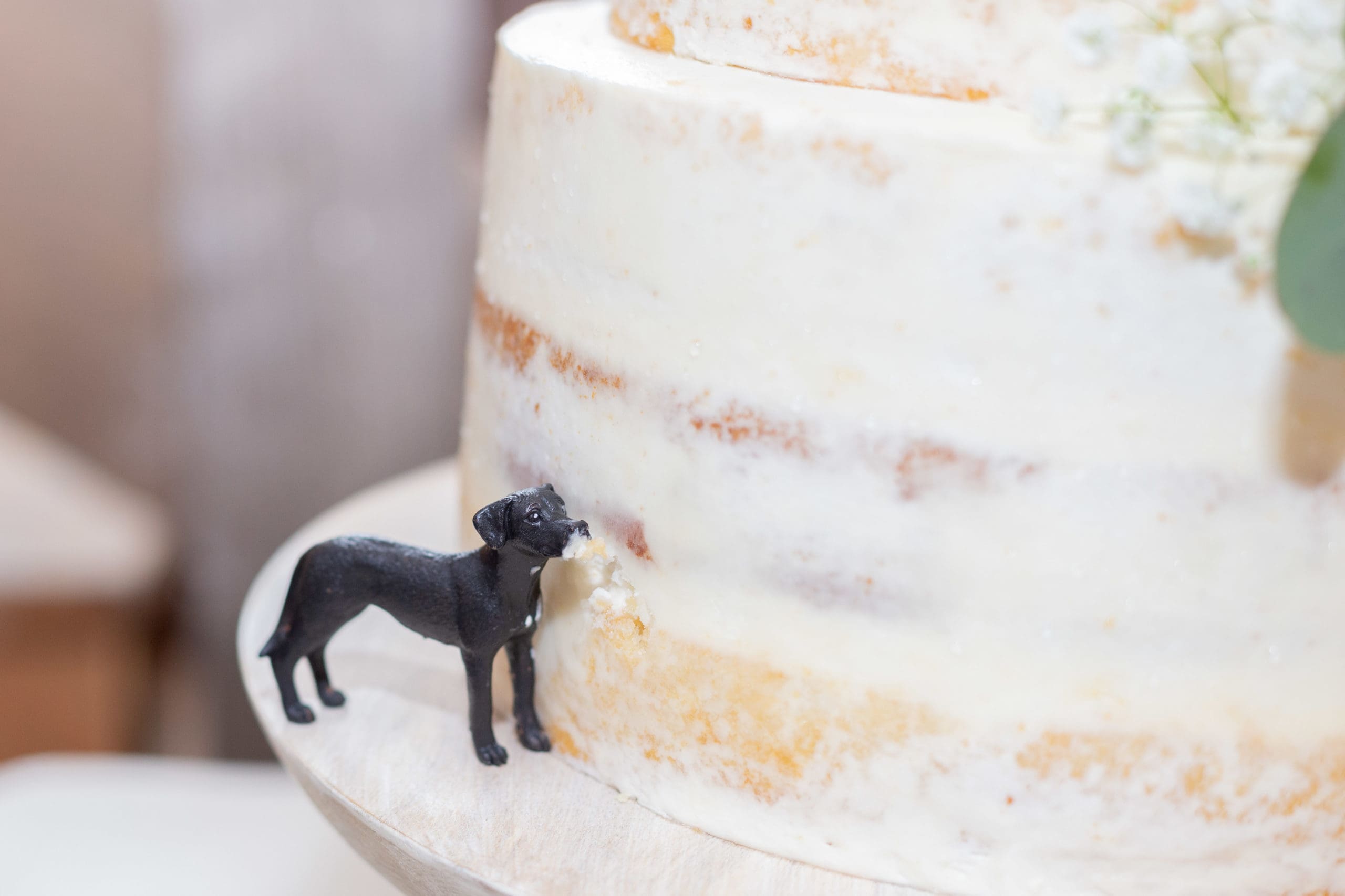 oregon barn wedding