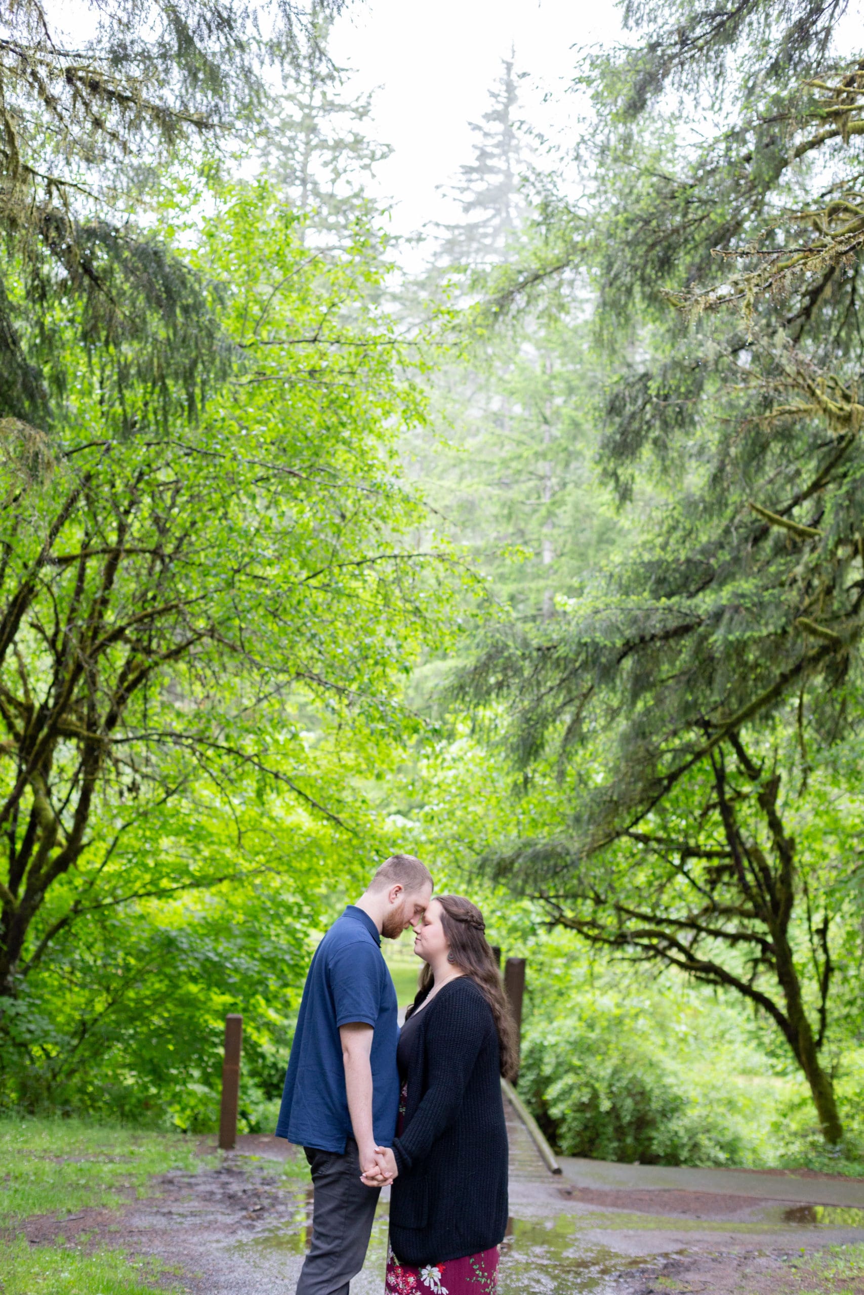 silver falls