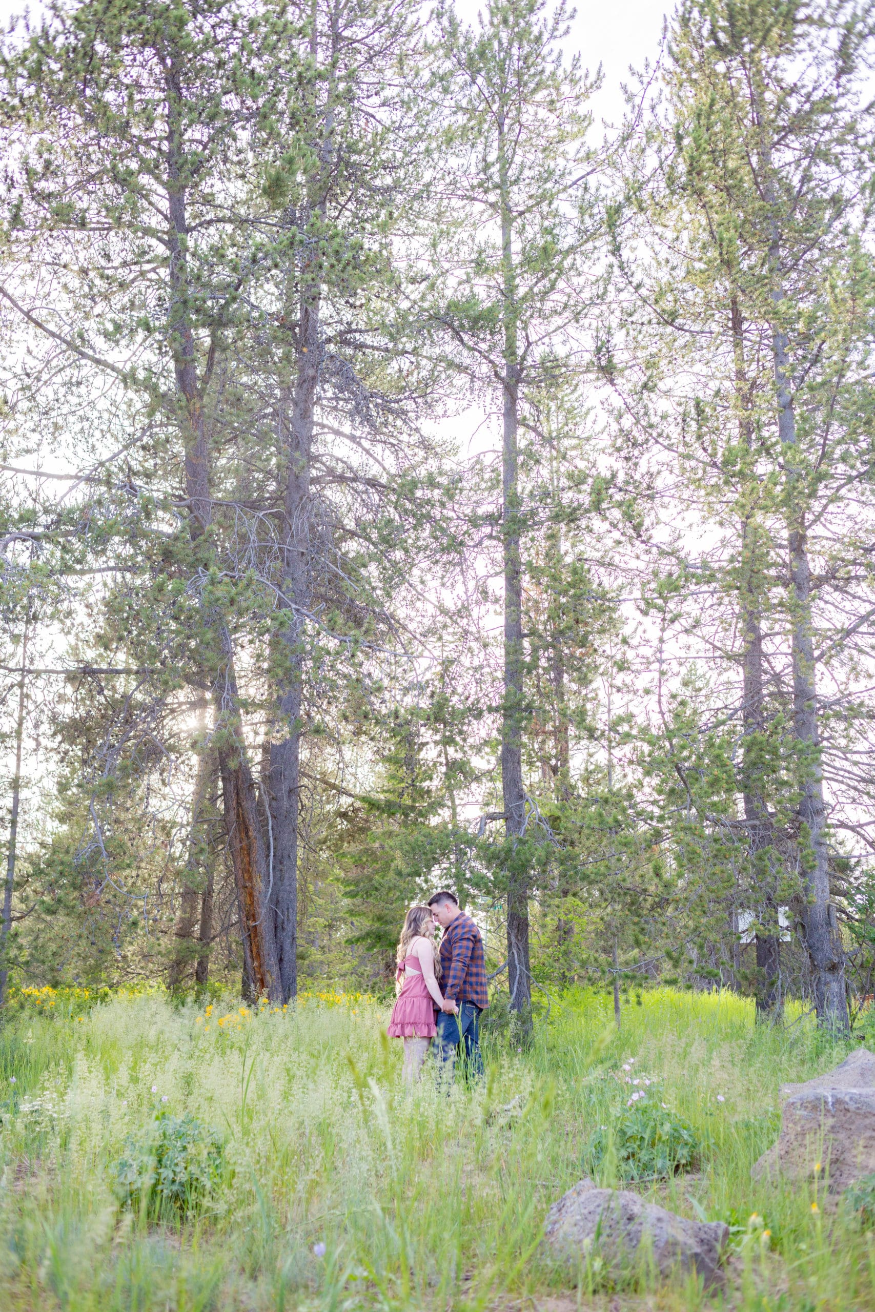 forest engagements 
