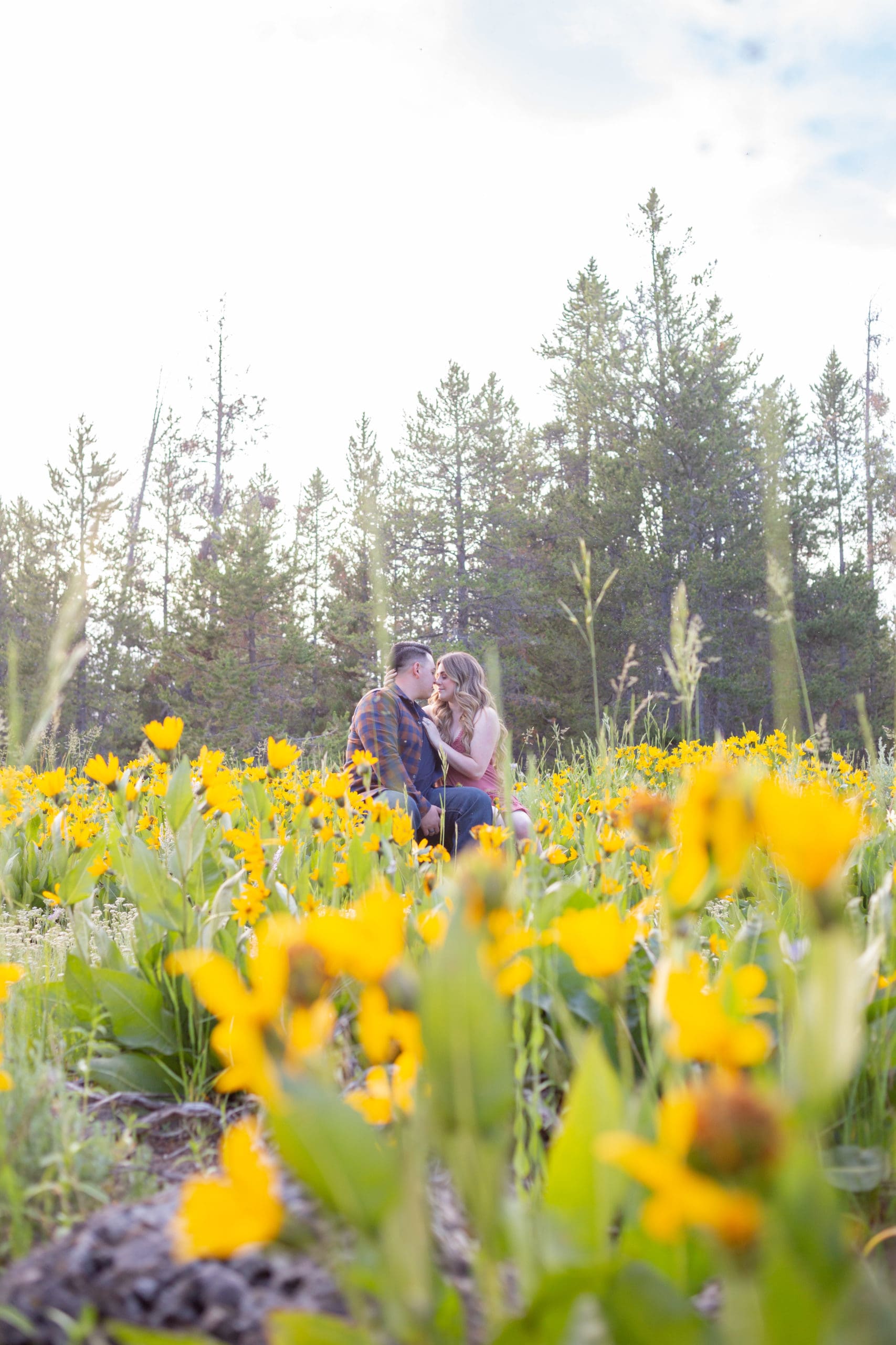 wildflower engagements