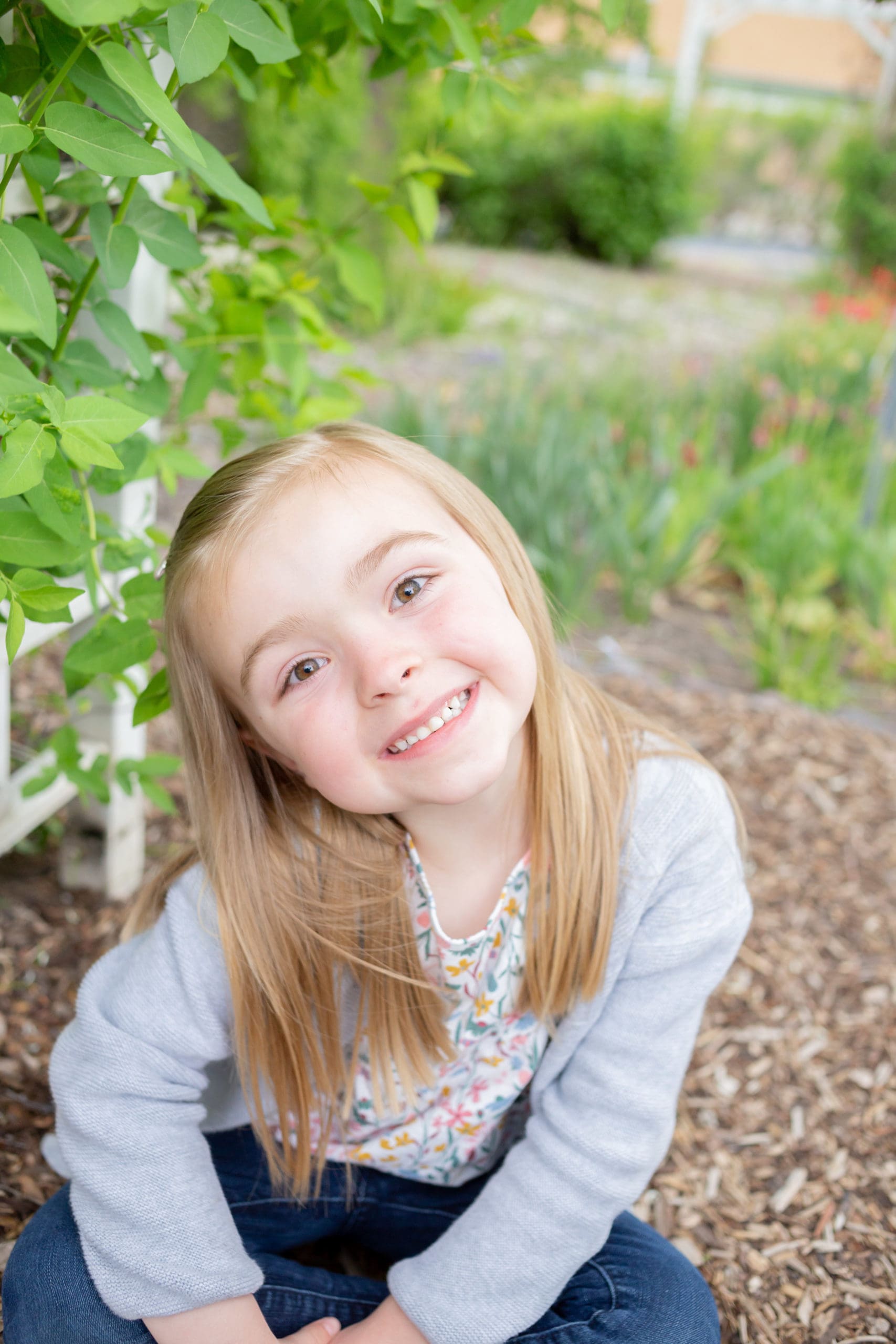 orchard-mini-session
