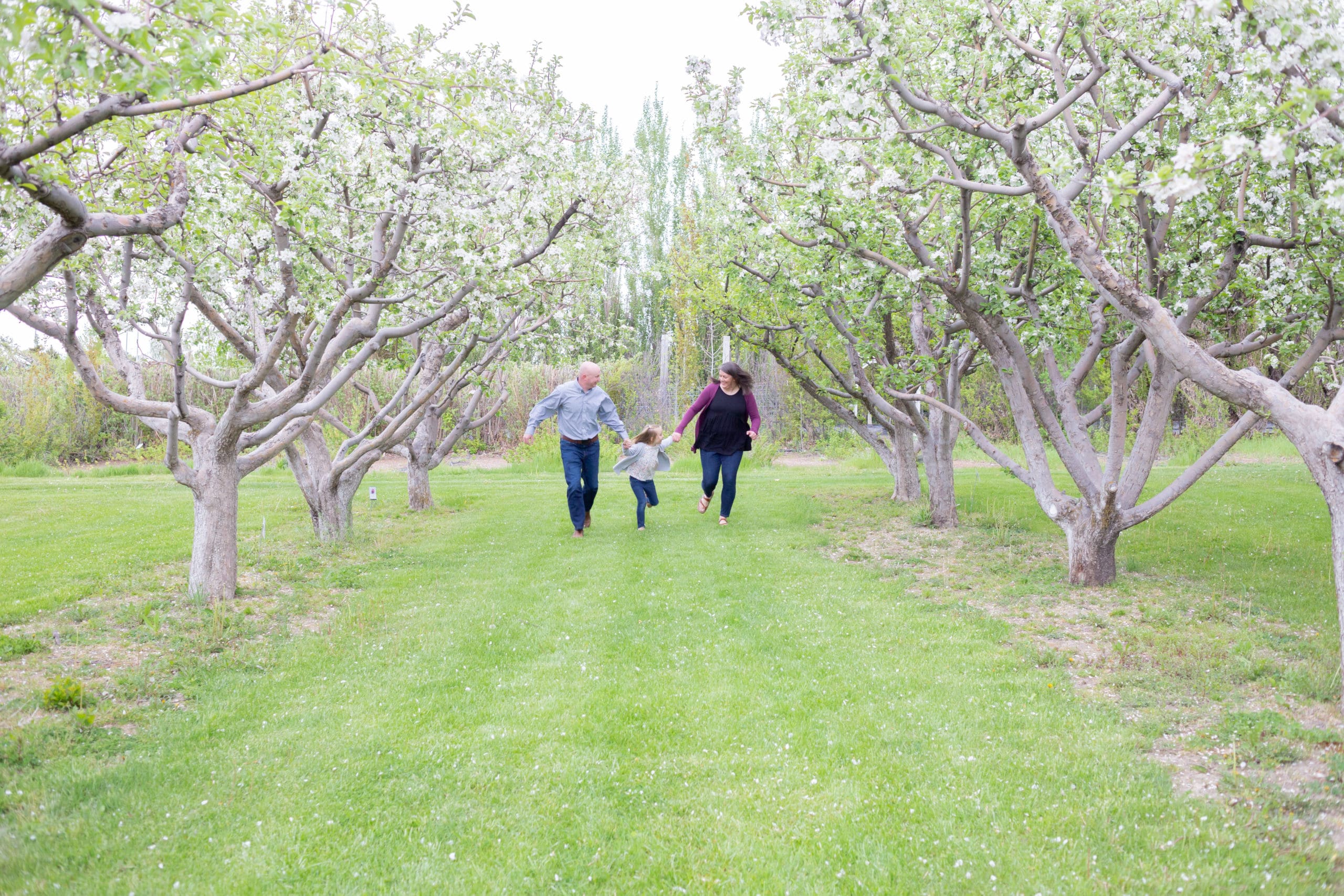 rexburg-orchard-mini-session