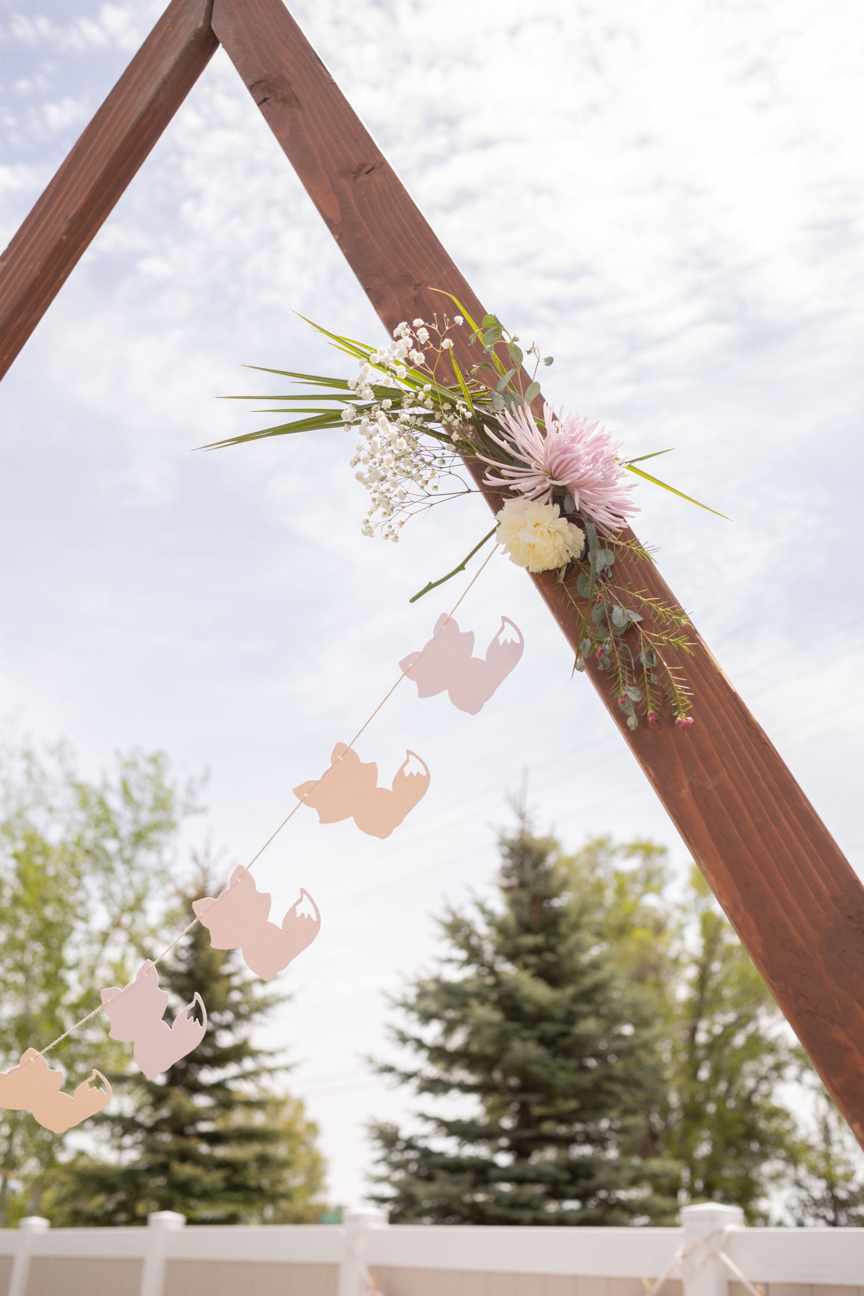 pink fox banner