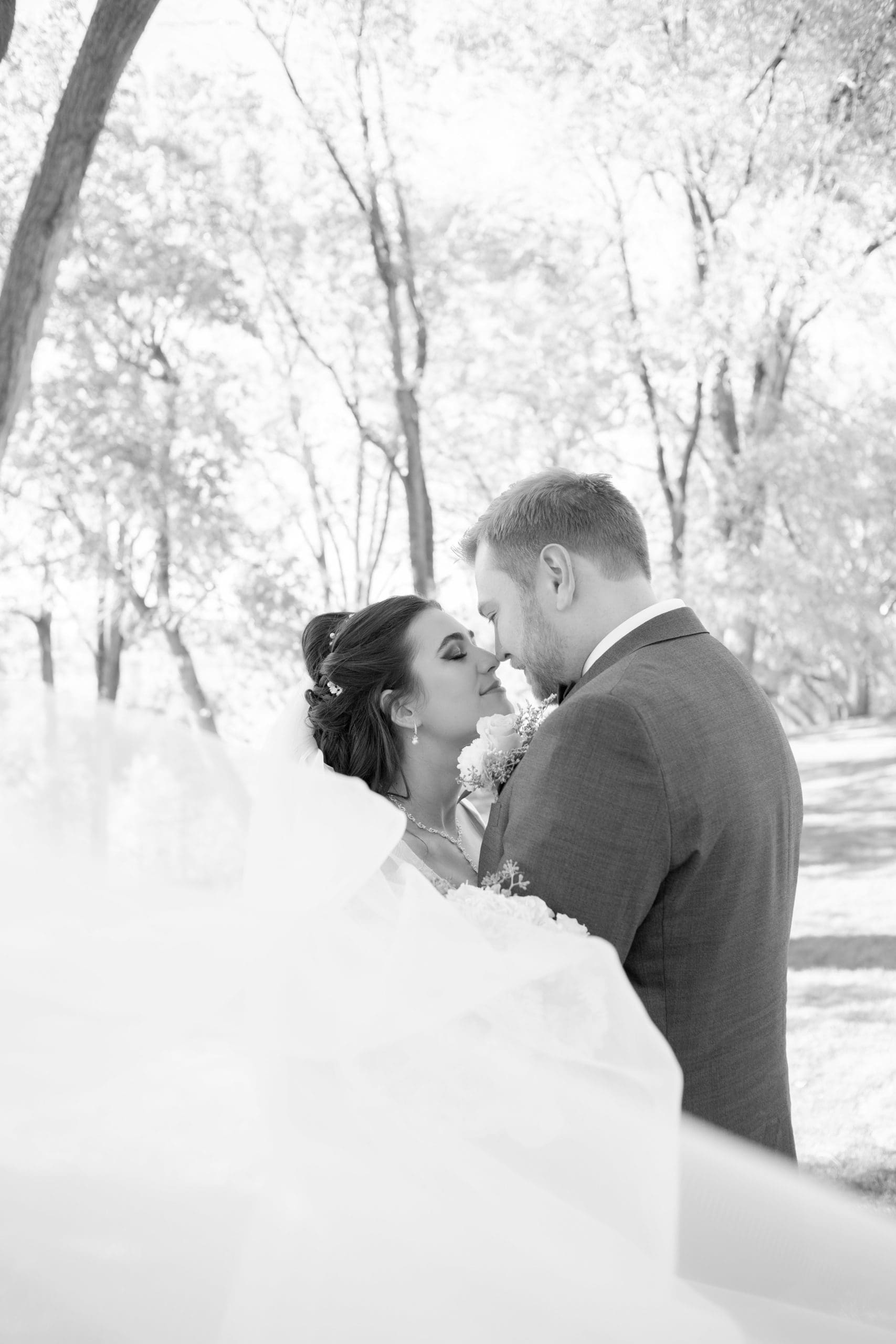 veil shot