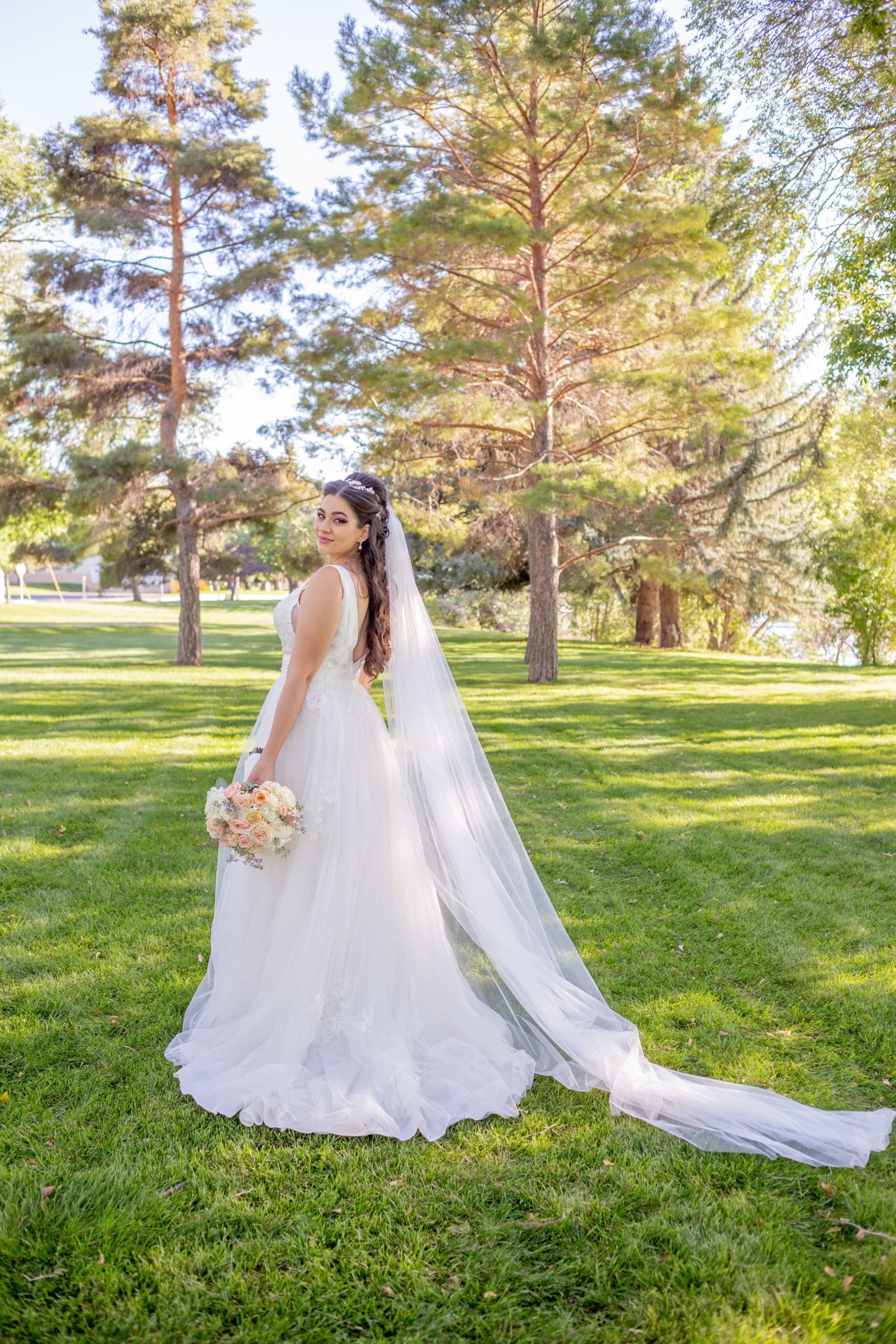 cathedral veil bride