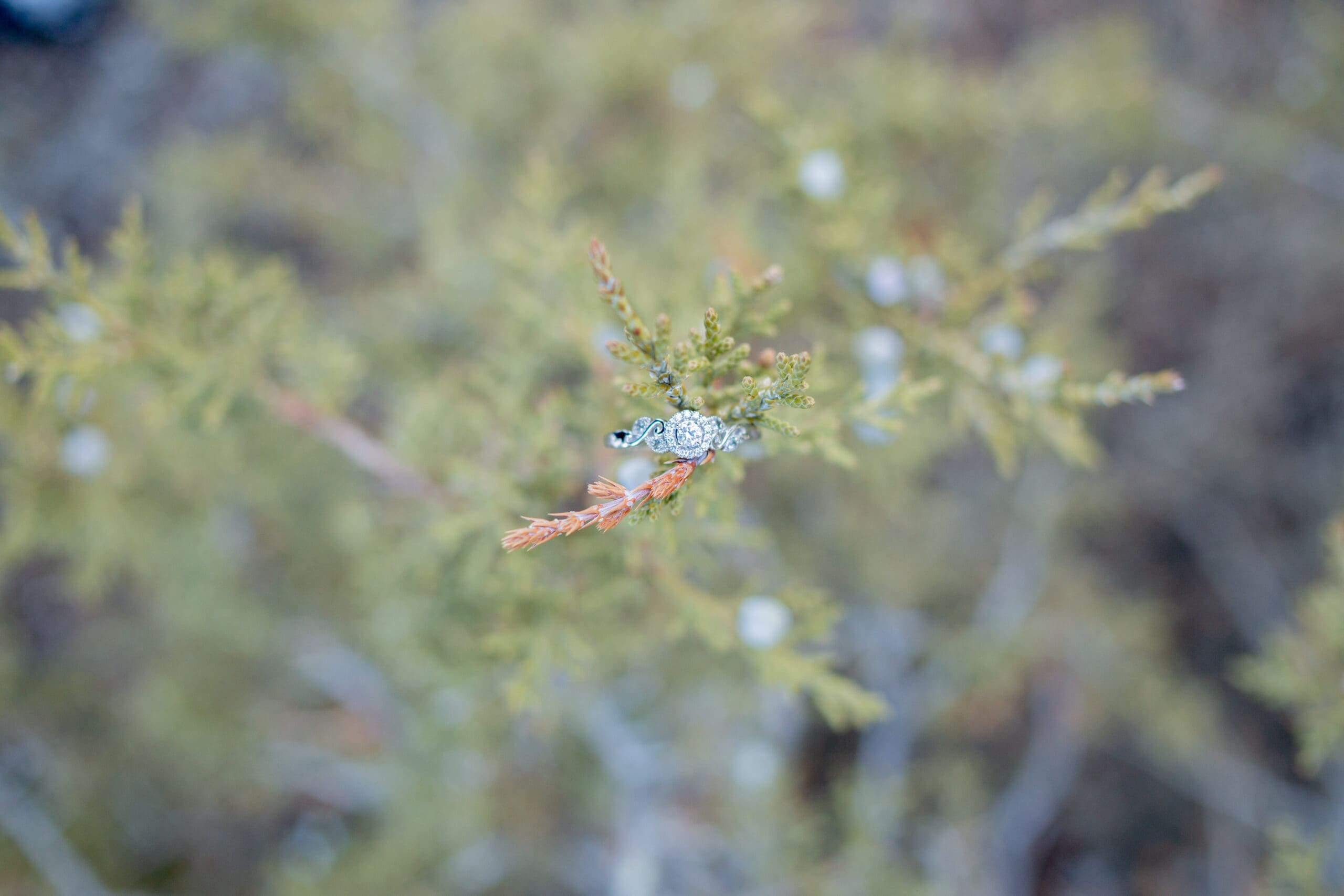 engagement-ring-detail-shot