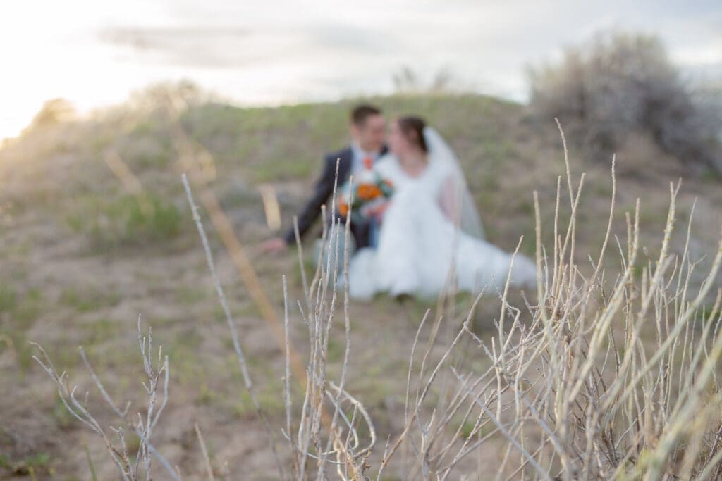 sarah-tapp-photo-events