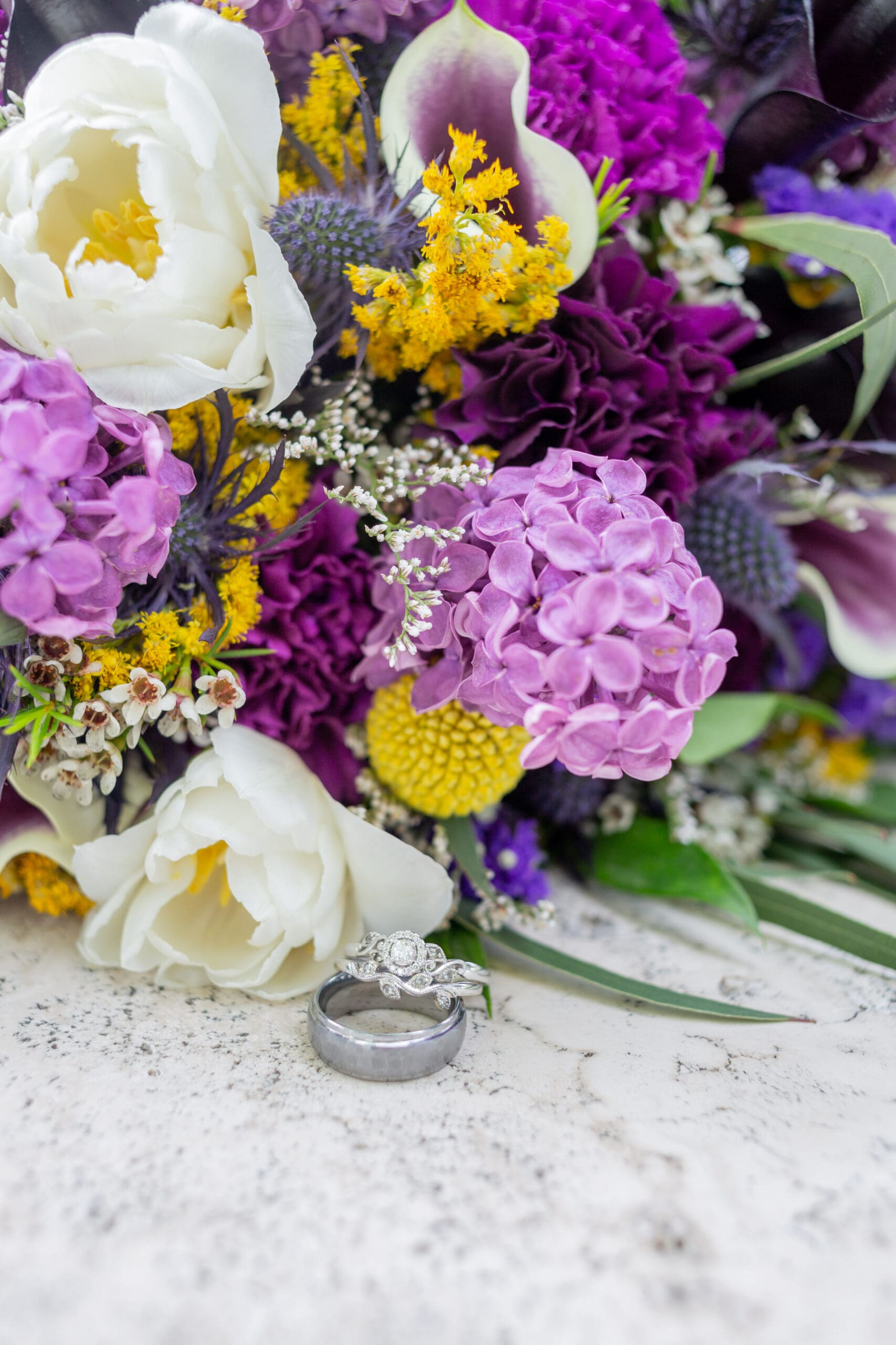 sarah-tapp-photo-events