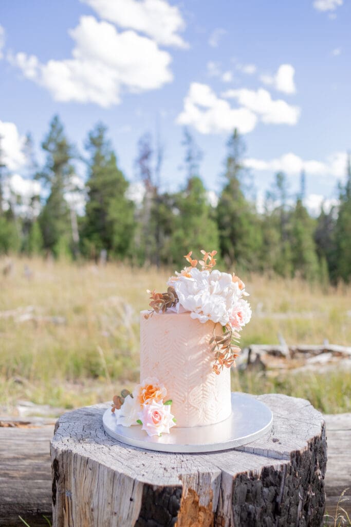 PNW Elopement Photographer captures wedding cake sitting on log