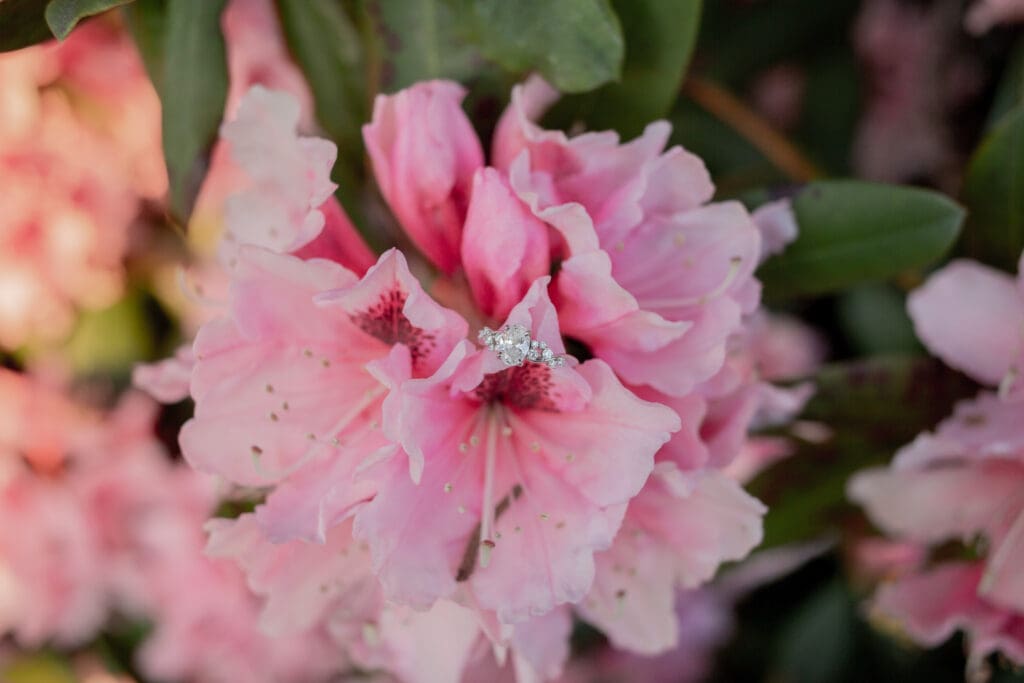 pnw-wedding-photographer