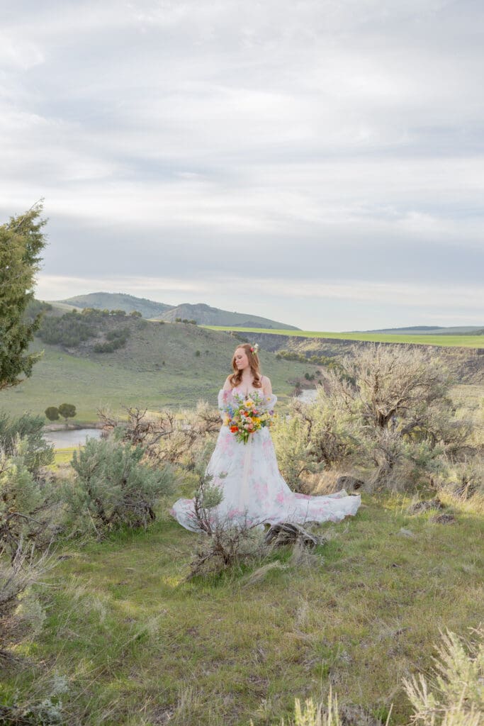 sarah-tapp-photo-events
