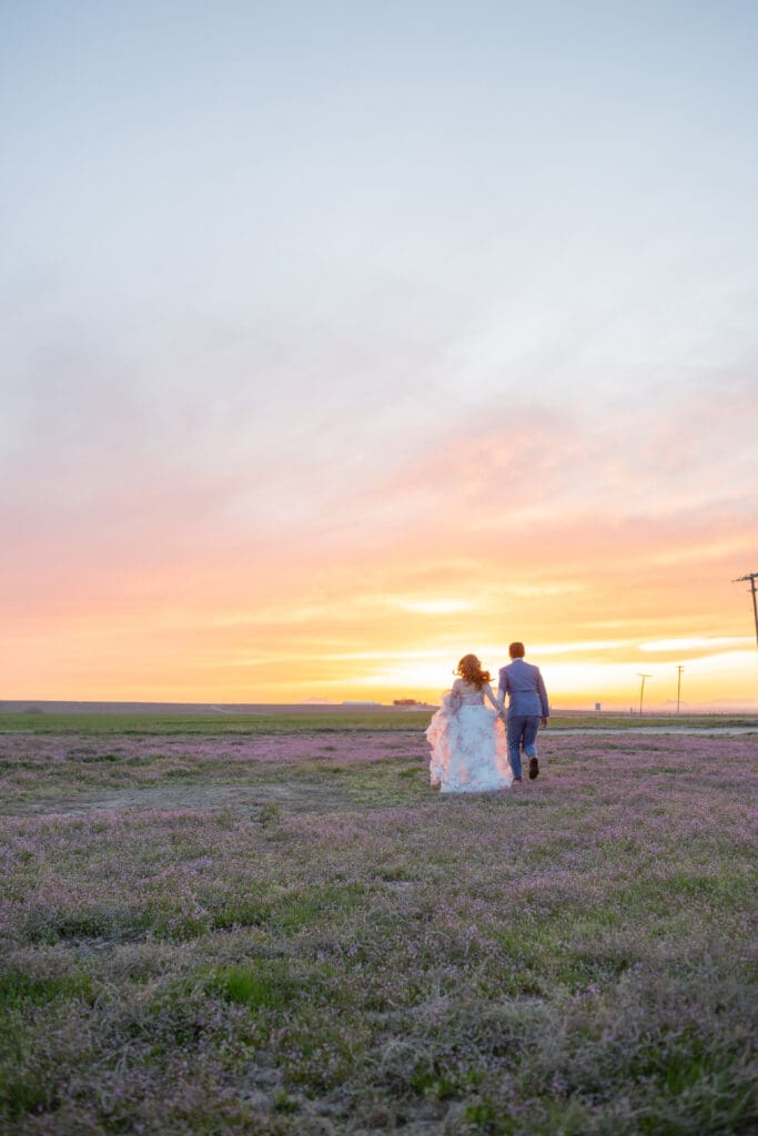 sarah-tapp-photo-events