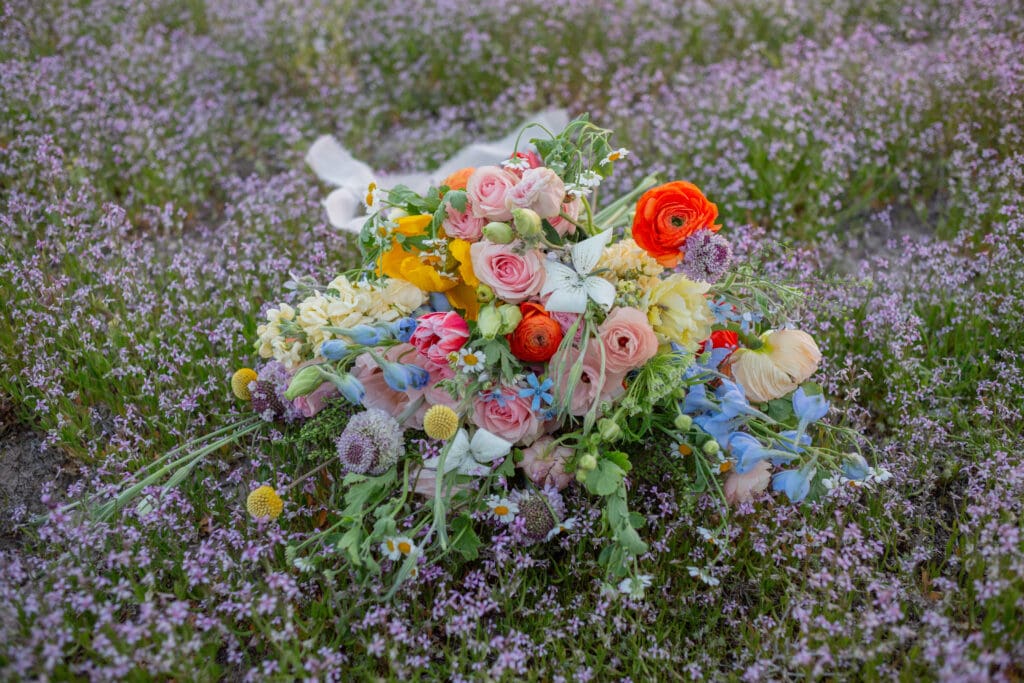 wildflower-field-photos