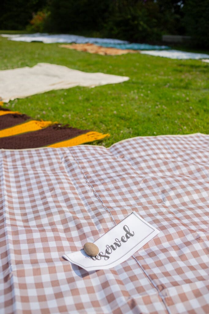 everett-picnic-wedding