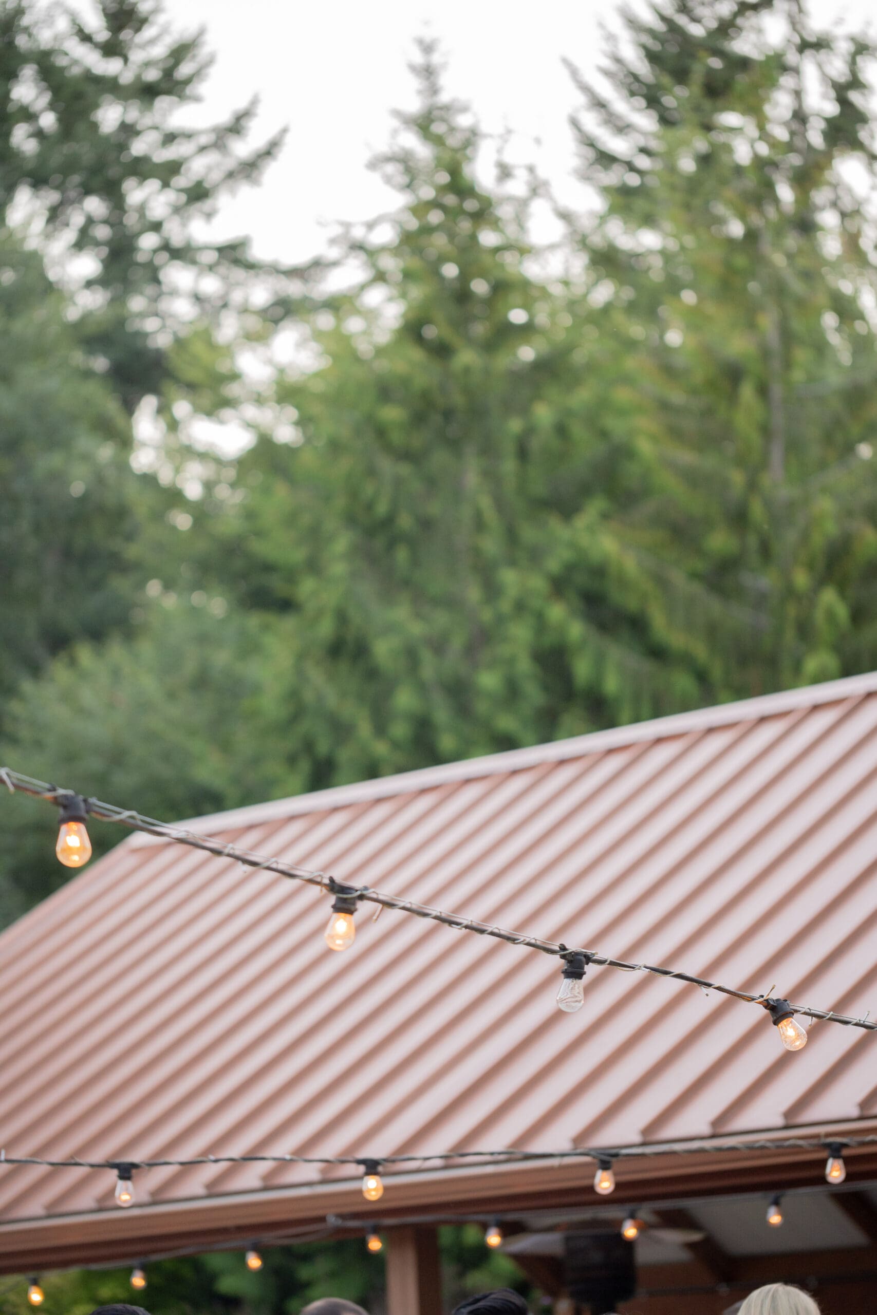 washington-outdoor-wedding-photographer